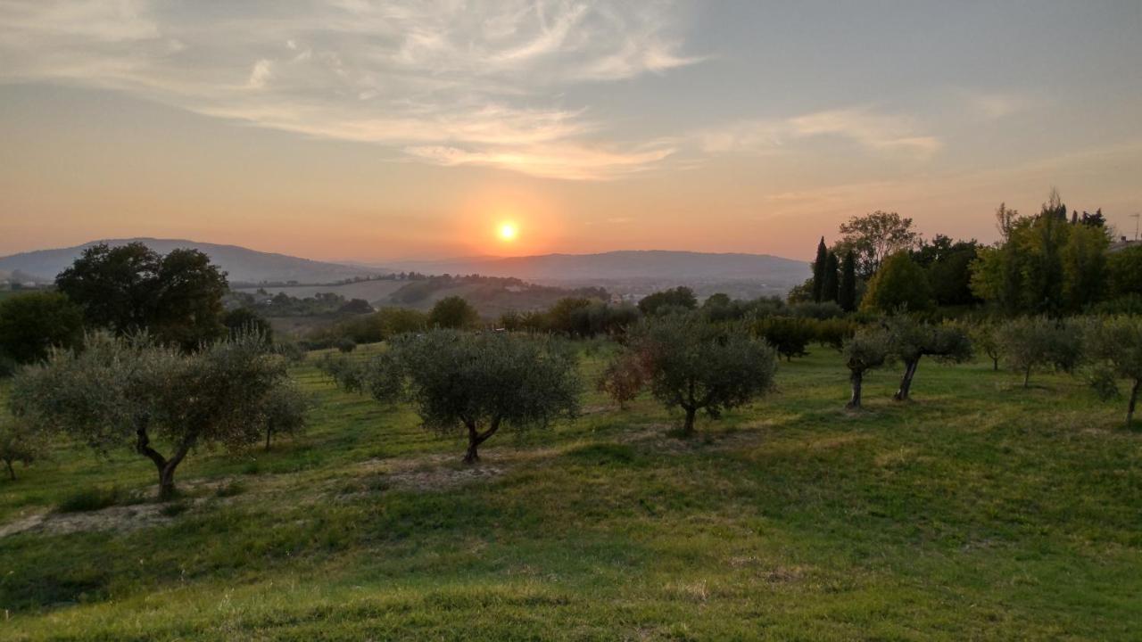 La Maggiolina Country House Montelabbate المظهر الخارجي الصورة